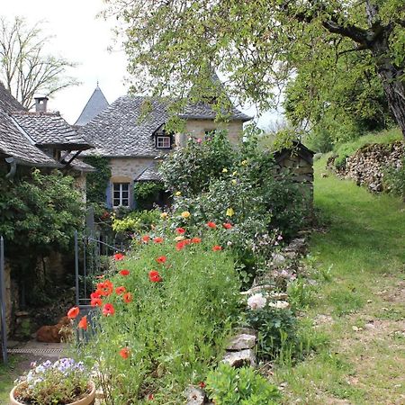 Les Terrasses De Labade Gite Et Chambres D'Hotes Coubisou Exteriör bild