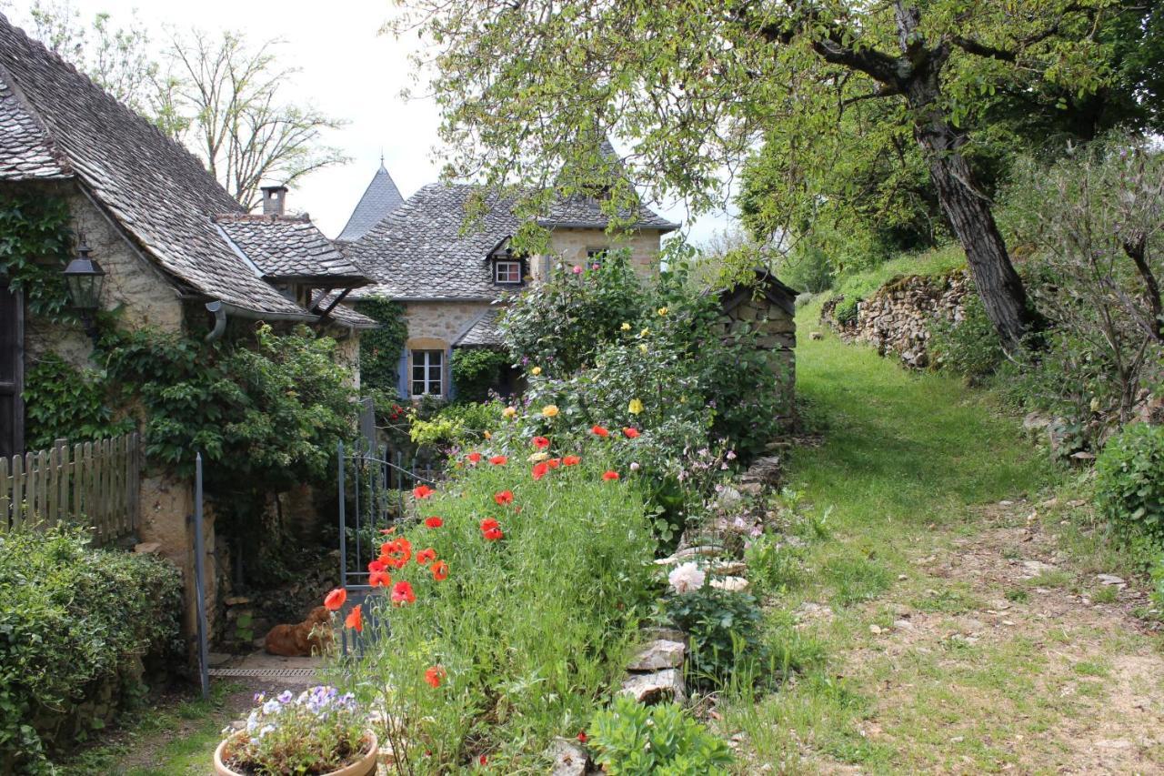 Les Terrasses De Labade Gite Et Chambres D'Hotes Coubisou Exteriör bild